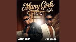 Many Girls by john blaq ft aspino